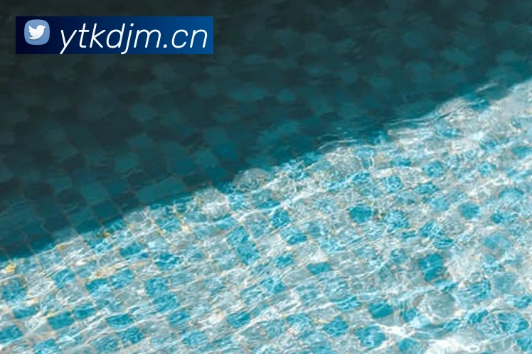 乐竞体育首页官网平台生态图